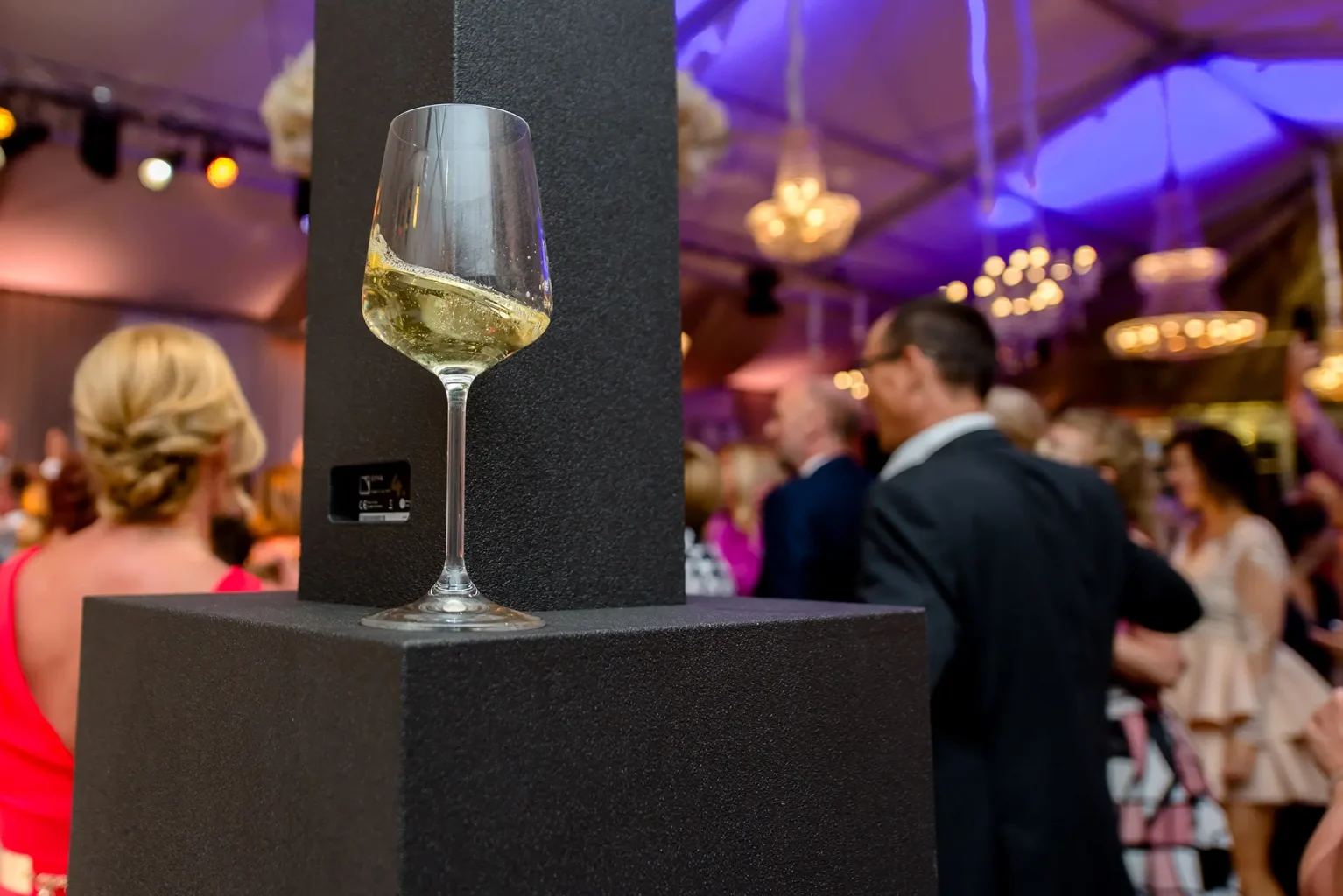 Botaniq Kastély esküvő - Party