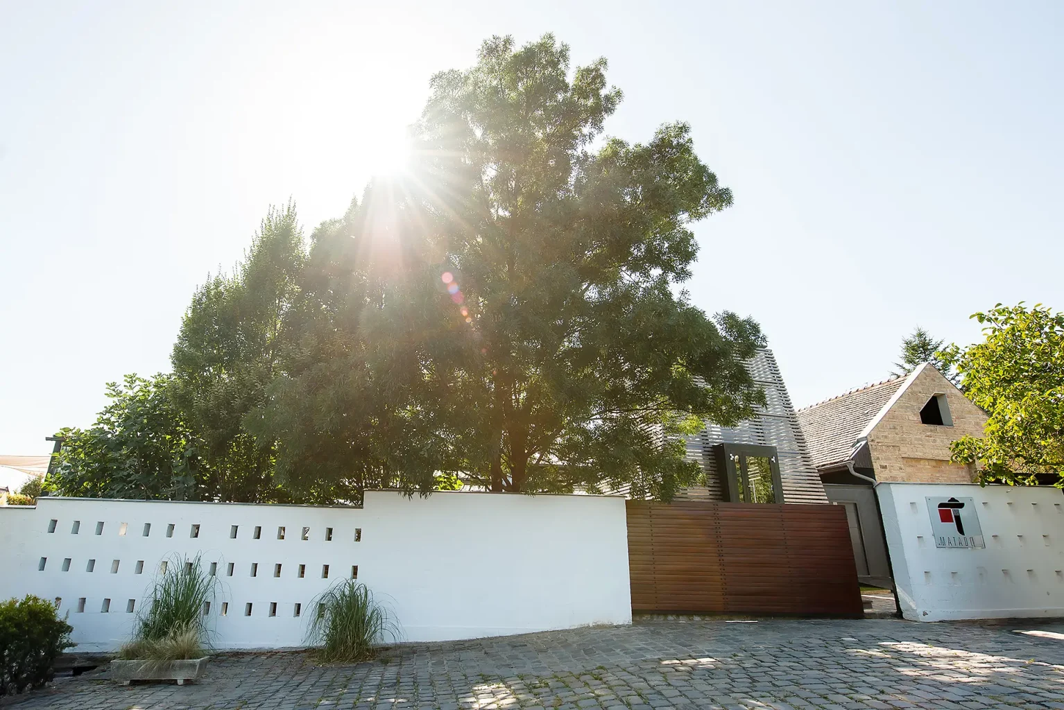 Esküvői fotózás Haraszthy Pincészet (Etyek) - Wedding Photography Haraszthy Winery